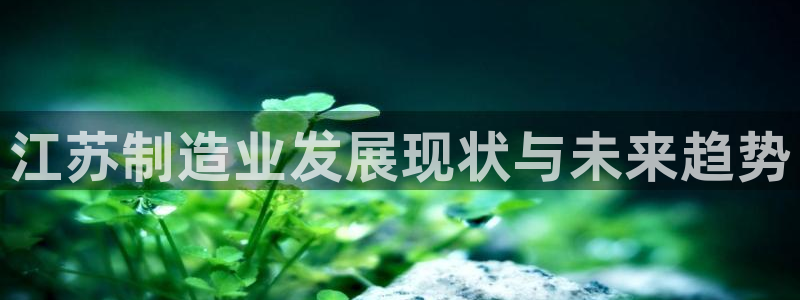 彩神8最新版下载：江苏制造业发展现状与未来趋势