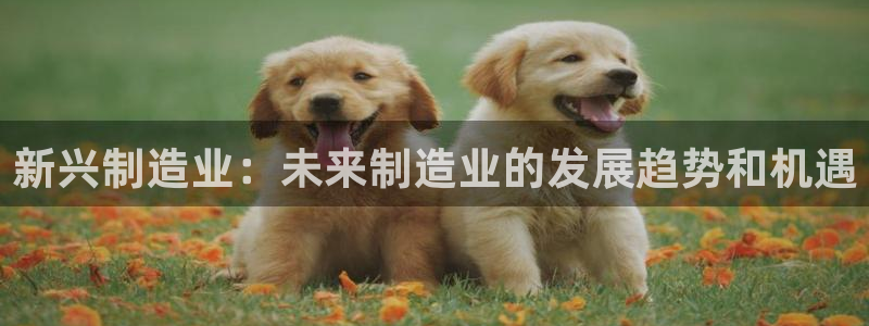彩神8官网500：新兴制造业：未来制造业的发展趋势和机遇