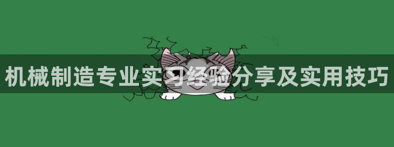 大发彩神争：机械制造专业实习经验分享及实用技巧