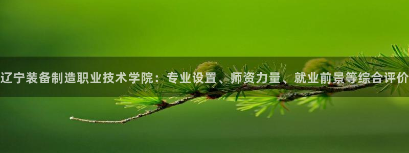 彩神vllⅰ购彩大厅：辽宁装备制造职业技术学院：专业设置、师资力量、就业前景等综合评价