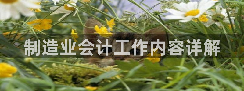 大发彩神最高邀请码：制造业会计工作内容详解