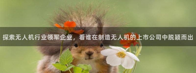 彩神8是正规平台吗：探索无人机行业领军企业，看谁在制造无人机