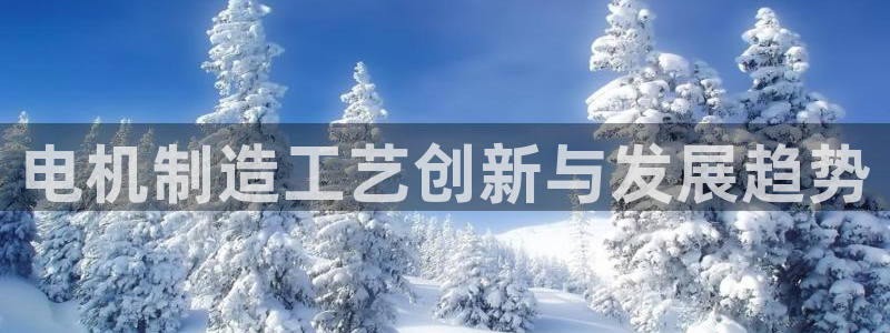 彩神vip购彩大厅：电机制造工艺创新与发展趋势