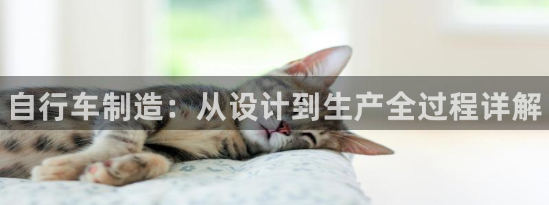 彩神v8是一个什么平台：自行车制造：从设计到生产全过程详解