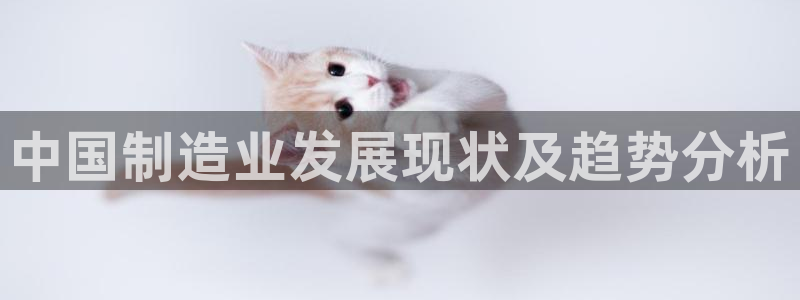 彩神vll首页：中国制造业发展现状及趋势分析
