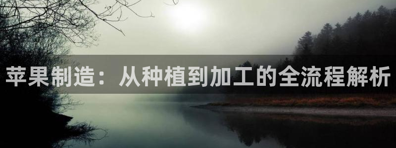 彩神vlll(中国)百度百科：苹果制造：从种植到加工的全流程解析