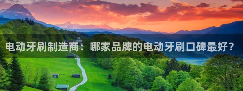 大发彩神争：电动牙刷制造商：哪家品牌的电动牙刷口碑最好？