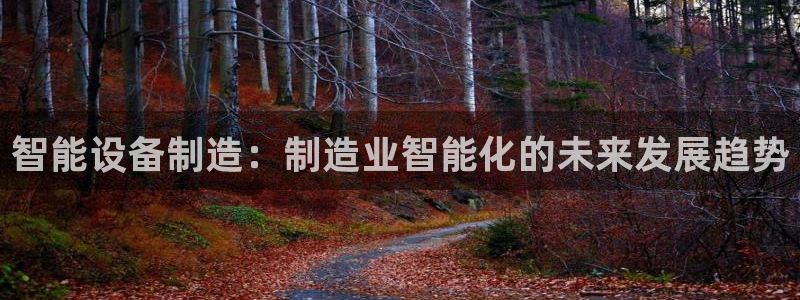 彩神购彩-购彩大厅入口娱乐首选：智能设备制造：制造业智能化的未来发展趋势