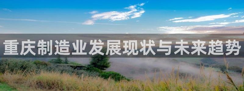 彩神vⅲ下载安装：重庆制造业发展现状与未来趋势