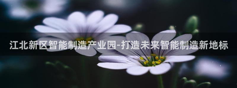 彩神购彩购彩大厅入口v：江北新区智能制造产业园-打造未来智能制造新地标