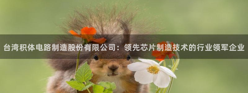 下载彩神争霸谁与我争锋：台湾积体电路制造股份有限公司：领先芯