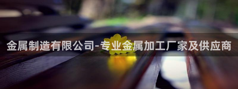 所有彩神购买首页中心：金属制造有限公司-专业金属加工厂家及供应商