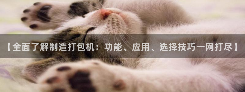 彩神ix能赚钱吗：【全面了解制造打包机：功能、应用、选择技巧一网打尽】