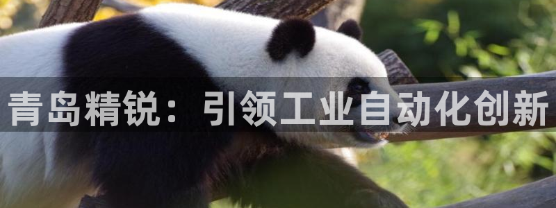 彩神vl官网：青岛精锐：引领工业自动化创新