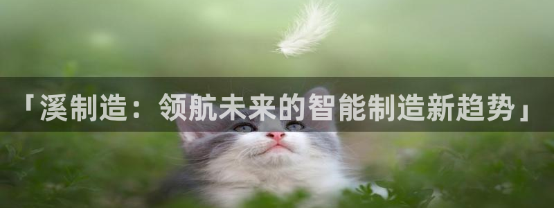 大发彩神官网下载：「溪制造：领航未来的智能制造新趋势」