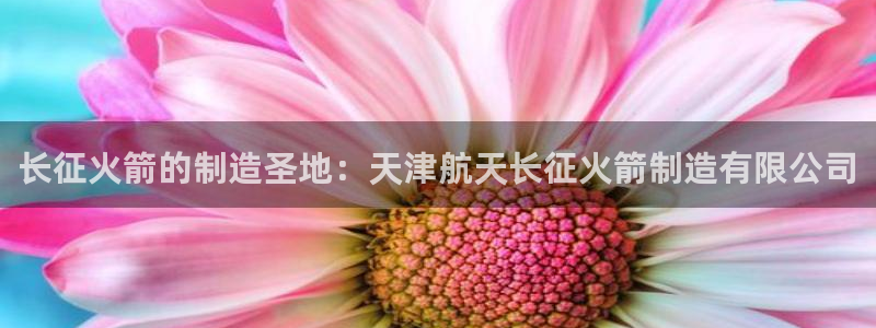彩神vip购彩大厅：长征火箭的制造圣地：天津航天长征火箭制造