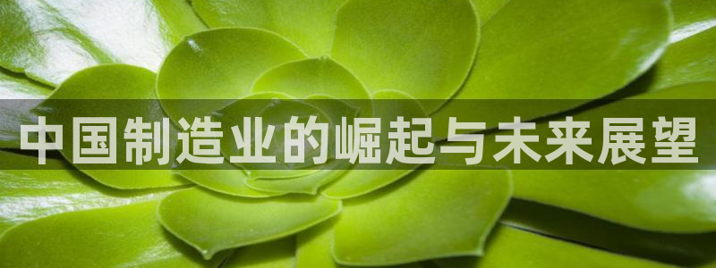 彩神网合法吗：中国制造业的崛起与未来展望