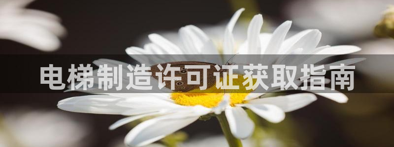 彩神购彩-购彩大厅入口500：电梯制造许可证获取指南