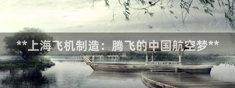 彩神可以提现吗：**上海飞机制造：腾飞的中国航空梦**
