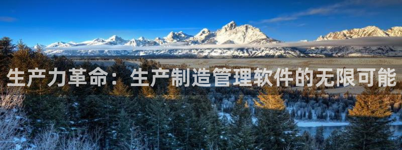 彩神ⅴll是什么样平台：生产力革命：生产制造管理软件的无限可