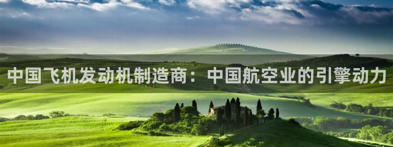 彩神xapp官方网站：中国飞机发动机制造商：中国航空业的引擎动力