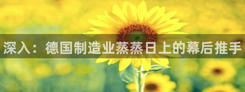 v大发彩神8iii：深入：德国制造业蒸蒸日上的幕后推手