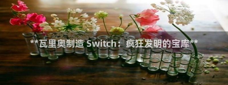 下载彩神通关注金码：**瓦里奥制造 Switch：疯狂发明的