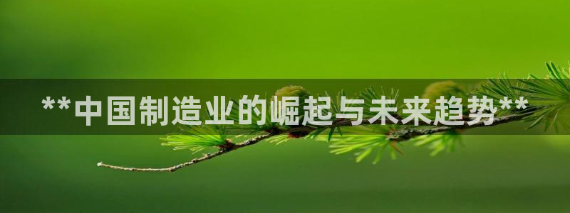 彩神客服电话：**中国制造业的崛起与未来趋势**