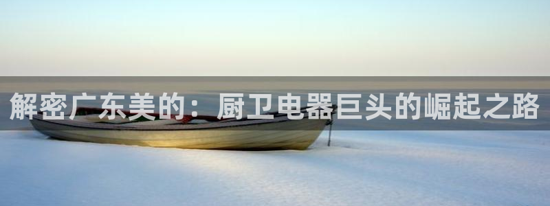 彩神vlll官方网：解密广东美的：厨卫电器巨头的崛起之路