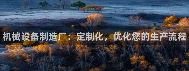彩神官方邀请码是多少：机械设备制造厂：定制化，优化您的生产流程