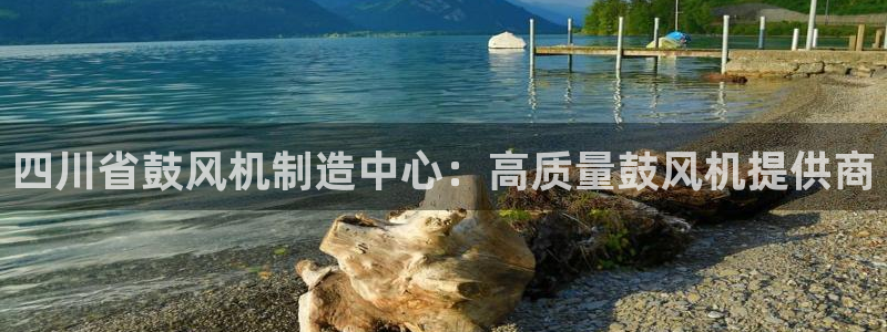 彩神8是正规平台吗是正品吗：四川省鼓风机制造中心：高质量鼓风机提供商