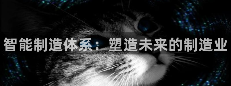 彩神用户登录：智能制造体系：塑造未来的制造业
