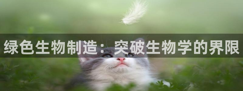 在彩神网输了六万多怎么拿回来