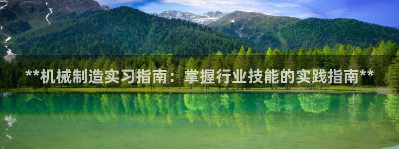 彩神V集团公司：**机械制造实习指南：掌握行业技能的实践指南