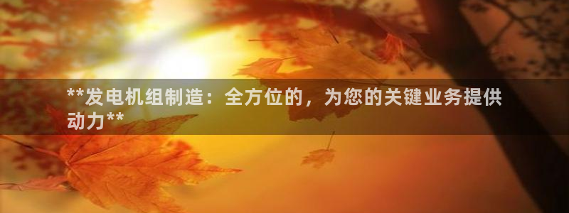 所有彩神购买首页都一样吗：**发电机组制造：全方位的，为您的关键业务提供
动力**