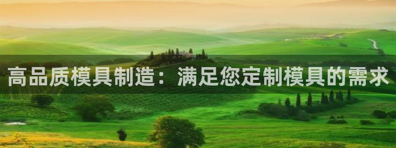 彩神vlll(中国)百度百科：高品质模具制造：满足您定制模具