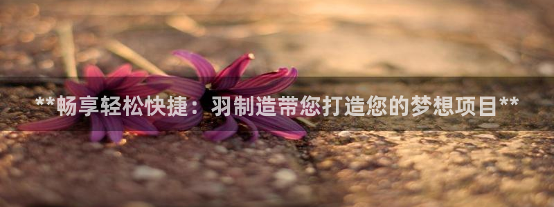 彩神iv是正规平台吗?：**畅享轻松快捷：羽制造带您打造您的