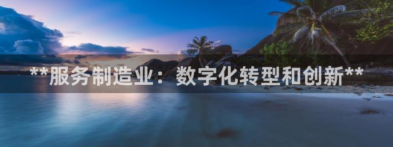 彩神VI首页：**服务制造业：数字化转型和创新**