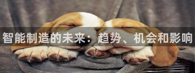 大发彩神最高邀请码：智能制造的未来：趋势、机会和影响