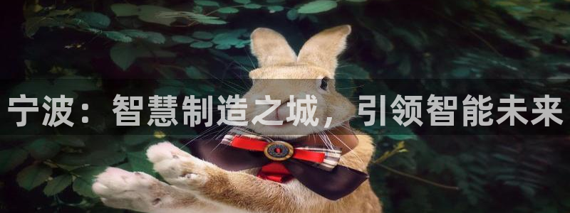 彩神Vll：宁波：智慧制造之城，引领智能未来