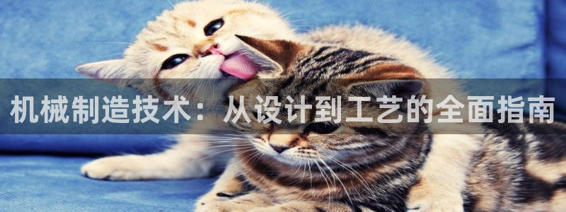 所有彩神购买首页都一样吗：机械制造技术：从设计到工艺的全面指南