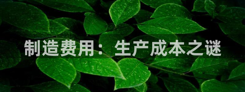 新版彩神v8登录：制造费用：生产成本之谜