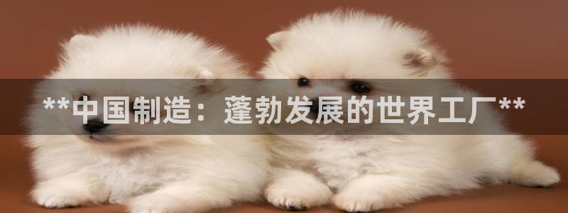 下载彩神乐发V1