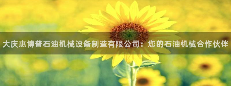 彩神数码科技有限公司：大庆惠博普石油机械设备制造有限公司：您