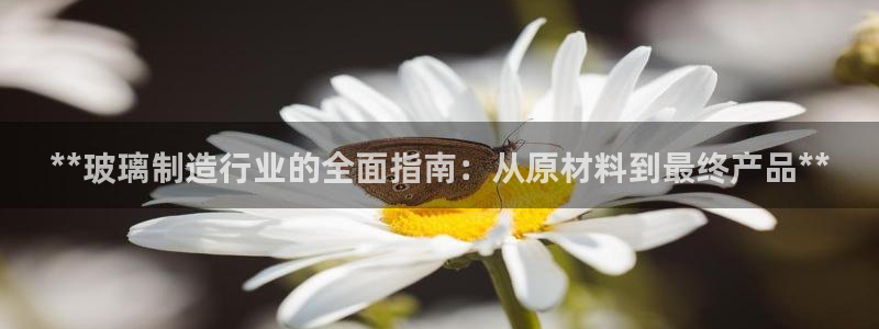 彩神v8是真的挣钱吗知乎：**玻璃制造行业的全面指南：从原材料到最终产品**