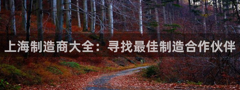 大发彩神争