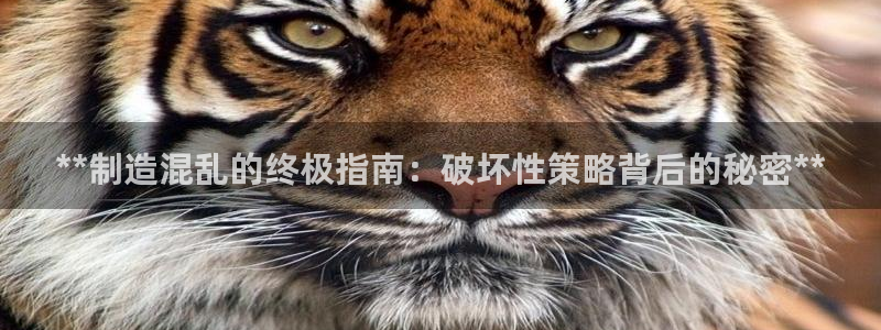 彩神vlll游戏特色：**制造混乱的终极指南：破坏性策略背后的秘密**