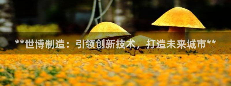 彩神购彩购彩大厅入口v：**世博制造：引领创新技术，打造未来