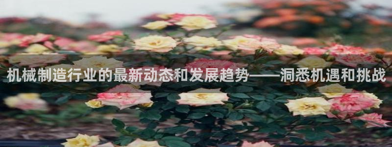 彩神大发cp：机械制造行业的最新动态和发展趋势——洞悉机遇和