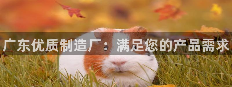 彩神VII官方版